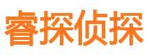 龙华私家调查公司